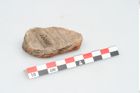 Etikett zu Schleifstein (NHMW-PRAE-078092)